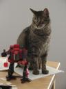 dsc04115.jpg