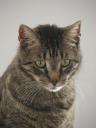 dsc04116.jpg