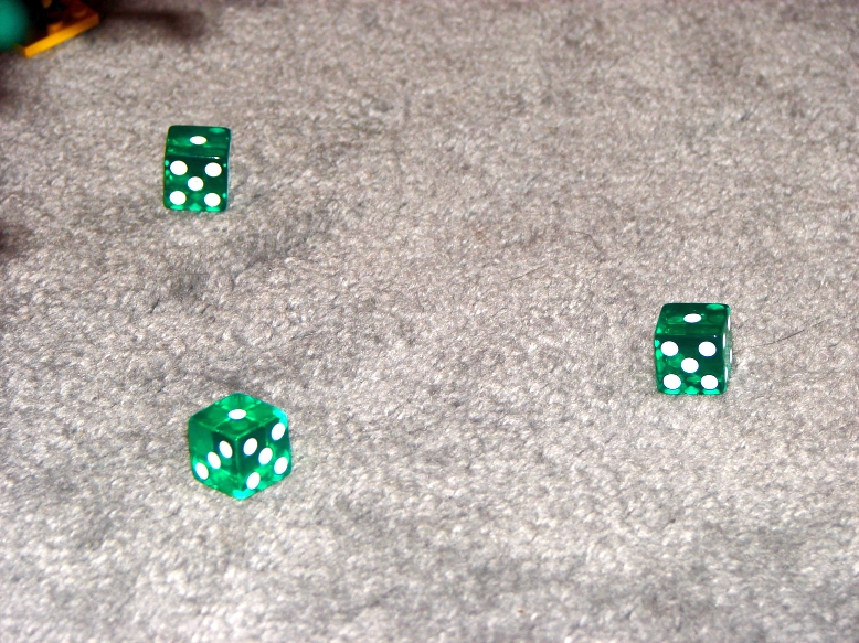 dsc04979r.jpg