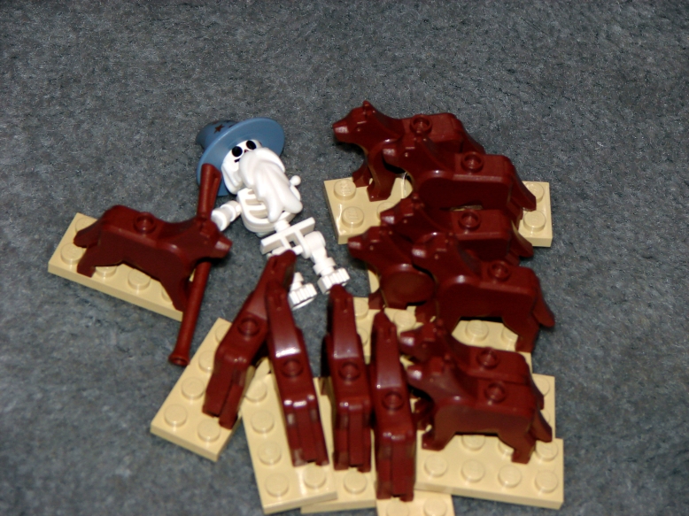 dsc04990r.jpg