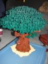 dsc04912r.jpg