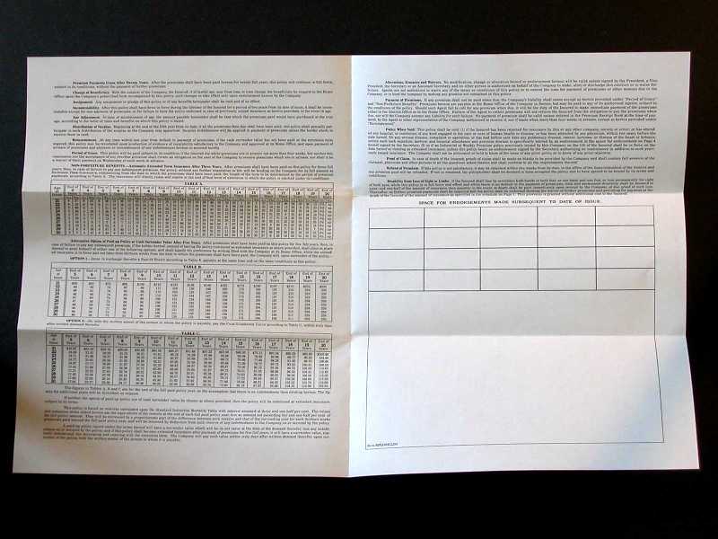 insurance03.jpg