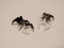 02crawlies02.jpg