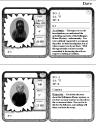 stats02.jpg