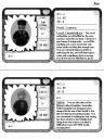 stats03.jpg