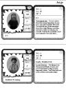 stats06.jpg