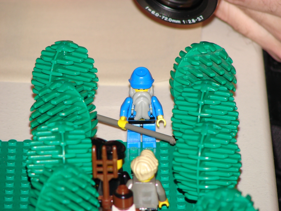 dsc00916b.jpg