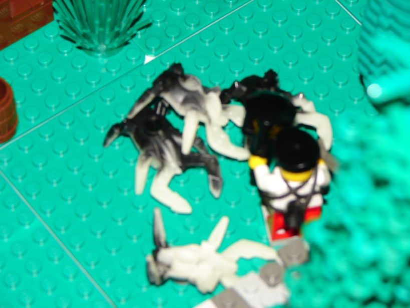 dsc01009.jpg