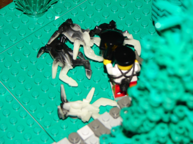 dsc01010.jpg