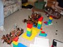 dsc03405.jpg