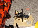 dsc03477.jpg