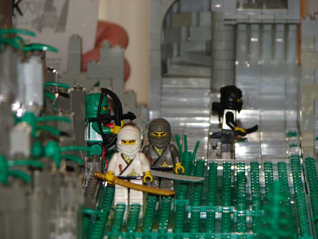 dsc03877.jpg