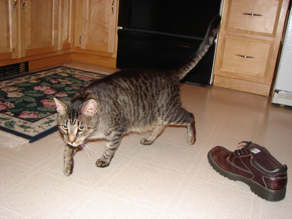 dsc03916.jpg