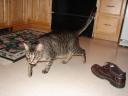 dsc03916.jpg