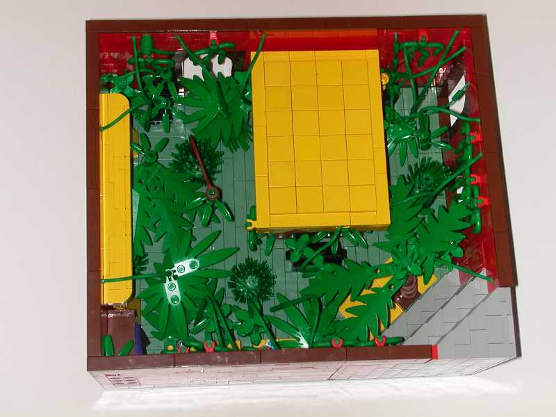 jungle01.jpg