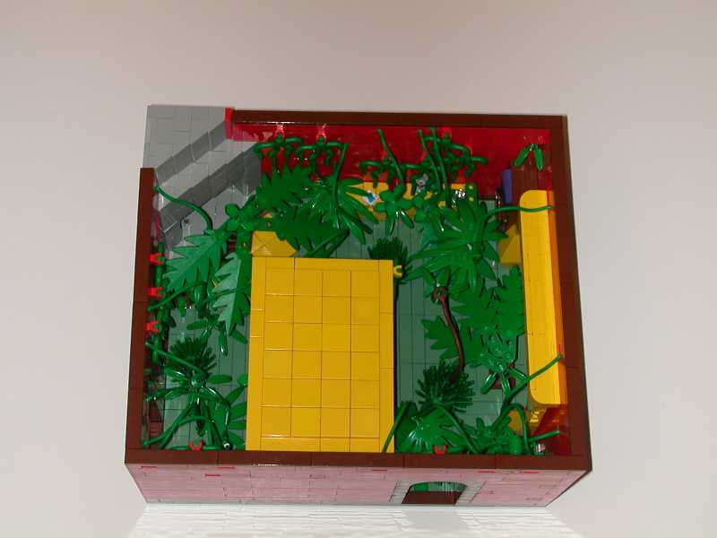 jungle03.jpg