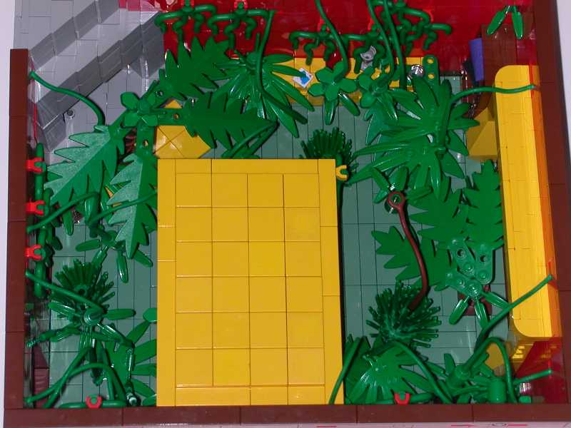jungle05.jpg