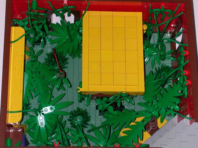 jungle06.jpg