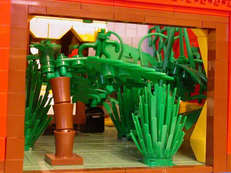 jungle08.jpg