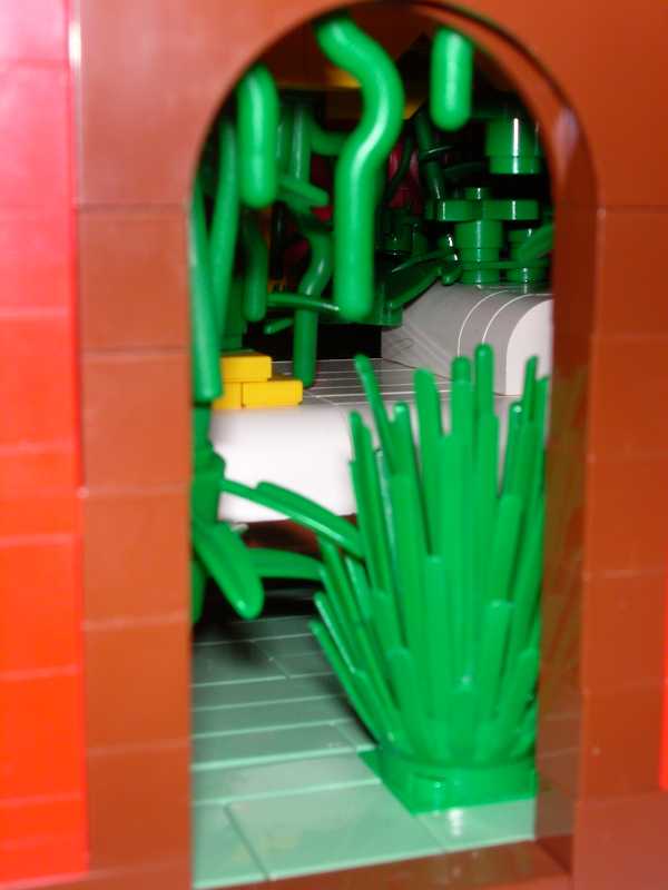 jungle11.jpg