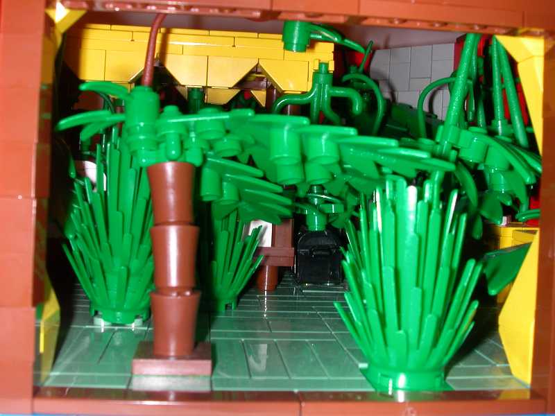 jungle17jpg.jpg