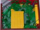 jungle05.jpg