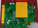 jungle06.jpg