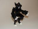 dsc02557.jpg