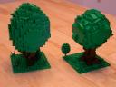 trees02.jpg