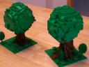 trees03.jpg