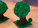 trees06.jpg