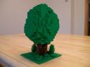 trees08.jpg