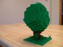 trees10.jpg