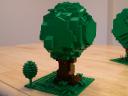 trees11.jpg