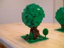 trees13.jpg