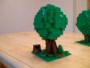 trees14.jpg