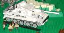 tiger1_01.jpg