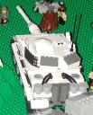 tiger1_02.jpg
