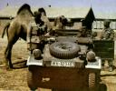 kubelc1.jpg