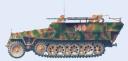 sdkfz251_flam1.jpg