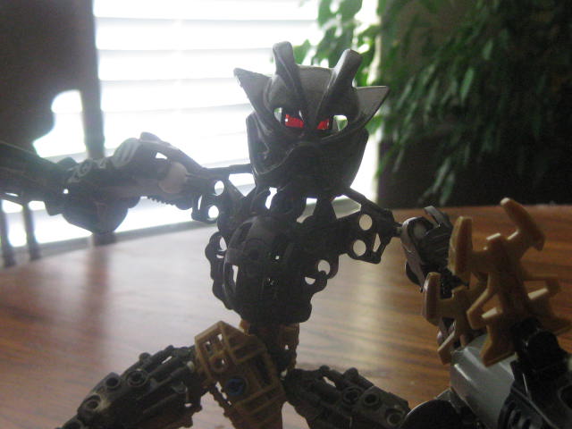 bionicles_073.jpg