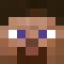 little_minecrafter_head.png