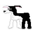 twilight_hound.png