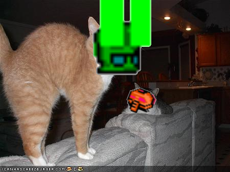 omg_wired_kitteh.png