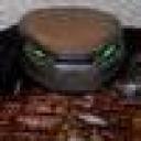 predator