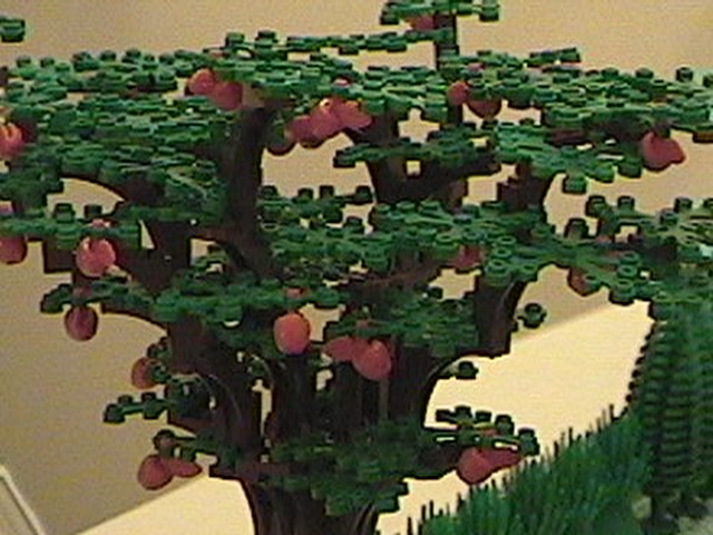 tree02.jpg