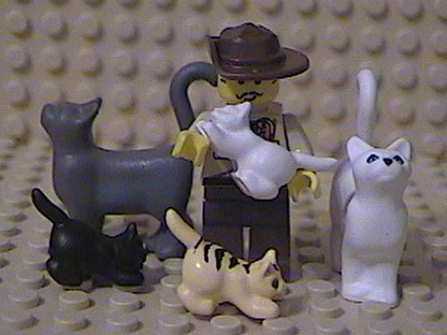 cats-minifig.jpg