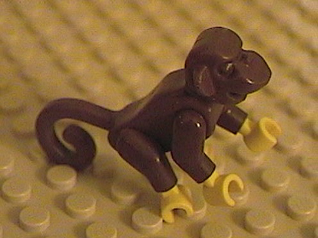 monkey-01.jpg