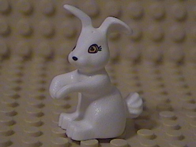 rabbit-01.jpg