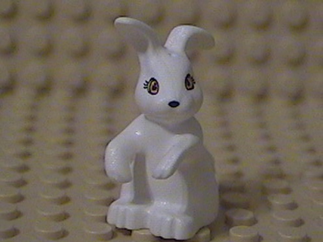 rabbit-02.jpg